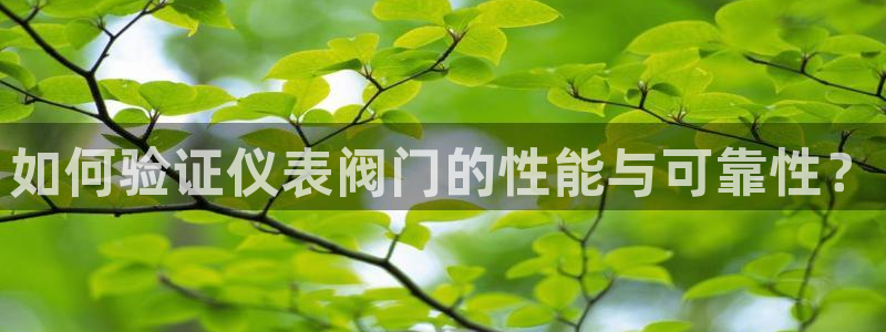 新宝gg挂机软件下载