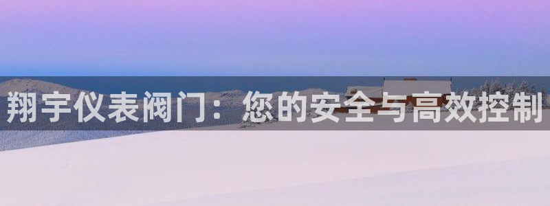 新宝gg总代理