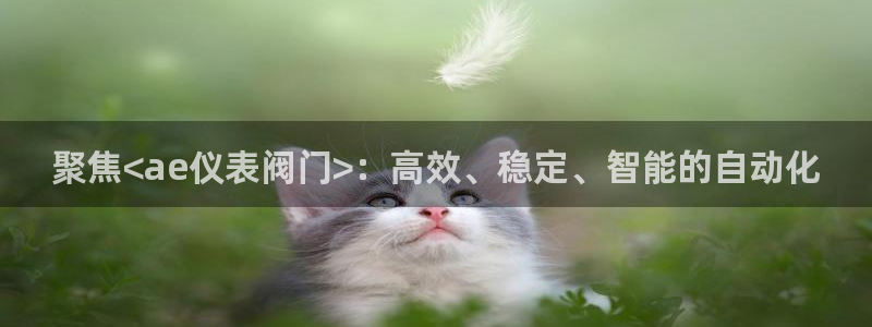新宝gg官方