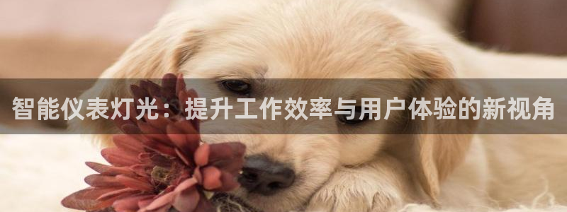 新宝gg主管48527