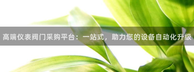 新宝gg游戏