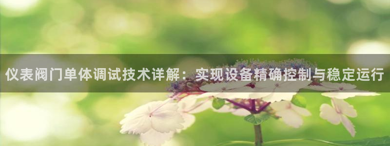 新宝gg总代理