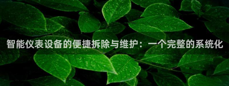 新宝gg挂机app