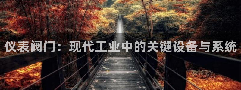 新宝gg网赚
