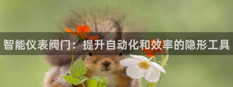 新宝gg信息
