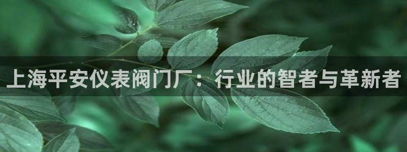 新宝gg代理注册