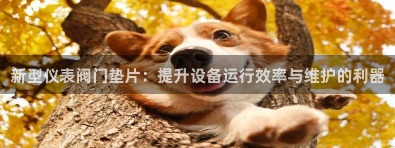 新宝gg线长