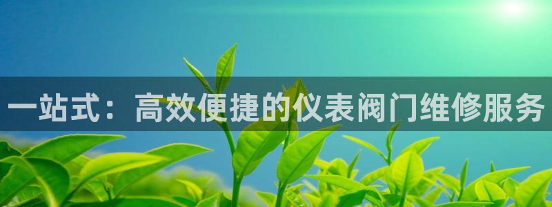新宝gg技术