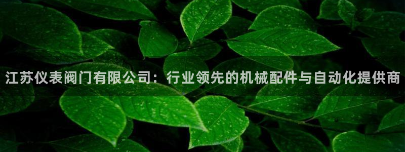 新宝gg 登陆