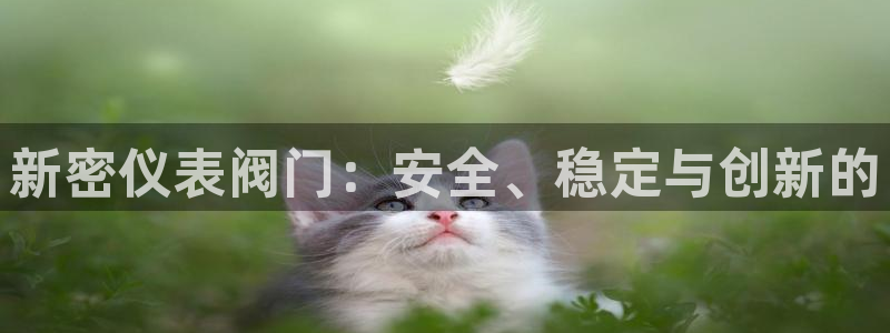 新宝gg主管_