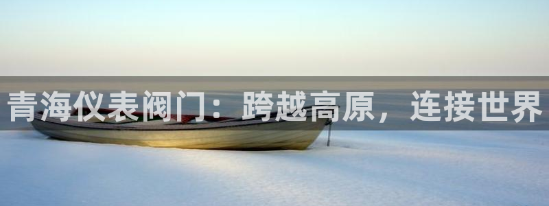 新宝gg登录页面