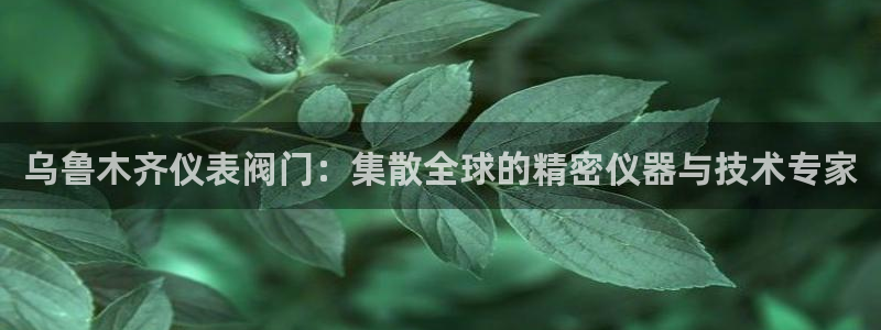 新宝gg属于