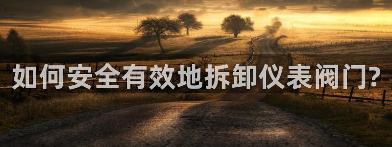 新宝gg娱乐注册