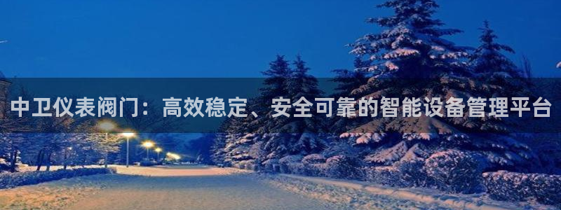 新宝gg域