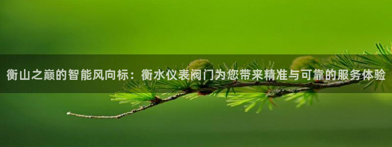 新宝gg娱乐登录地址