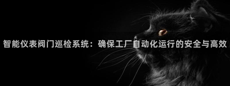 新宝gg创造奇迹