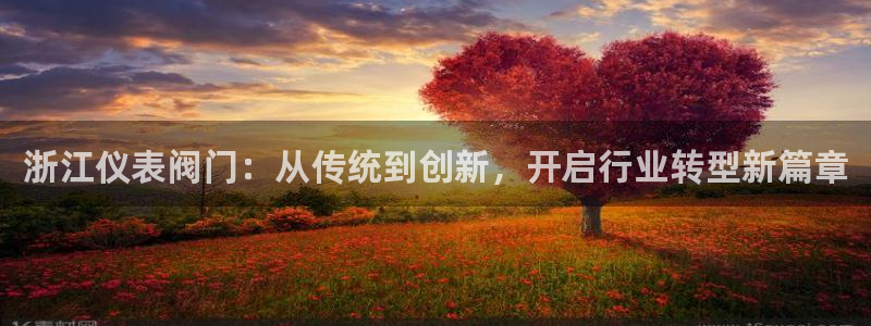 广东新宝电器gg