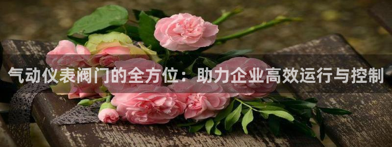 新宝gg代理注册