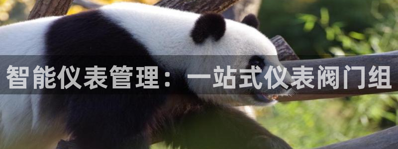 新宝gg注册新账号