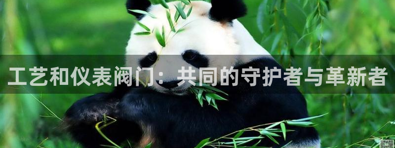 新宝GG于六七五一38