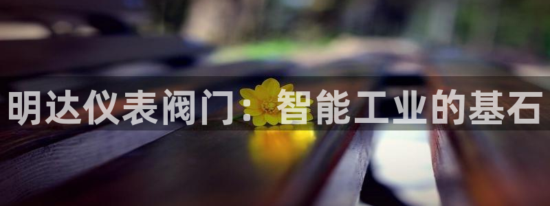 新宝gg金砖彩票