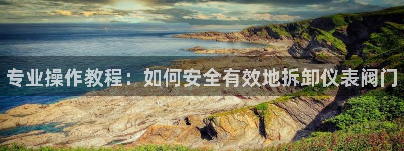 新宝gg dengludizhi