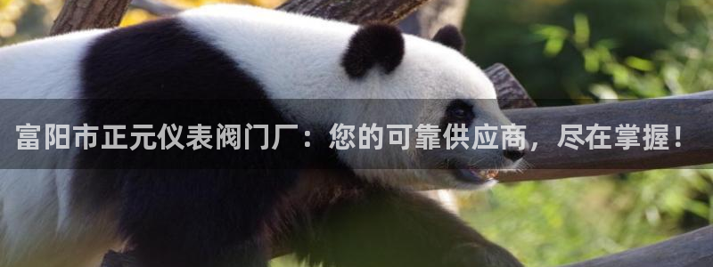 登录新宝gg游戏