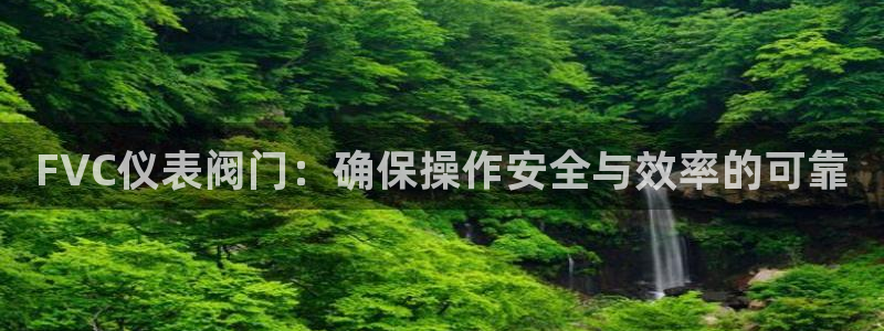 新宝 gg 总代理