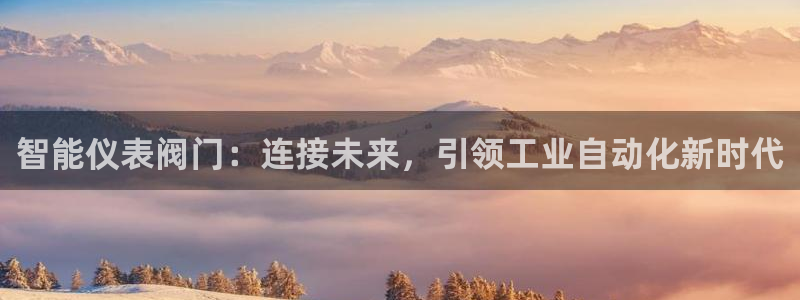 新宝gg介绍