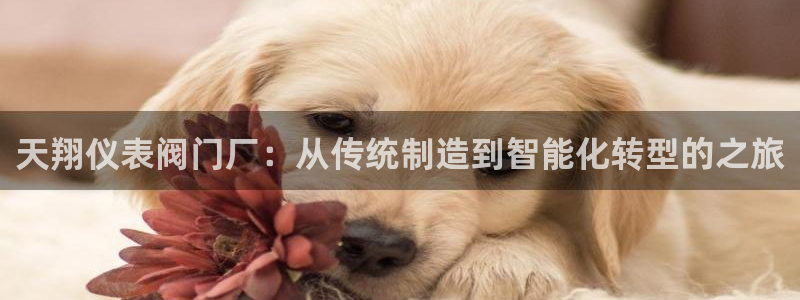新宝GG登录网页