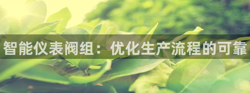 新宝gg登录地址