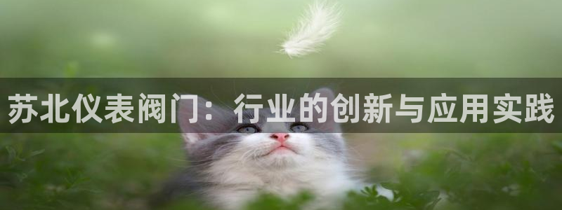 新宝gg代理注册