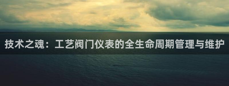 新宝gg手机官网登录
