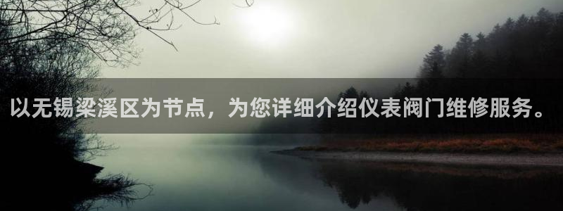 新宝gg游戏平台