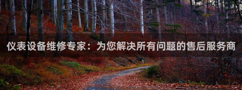 新宝gg软件下载
