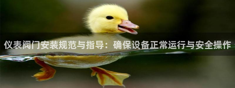新宝gg开好