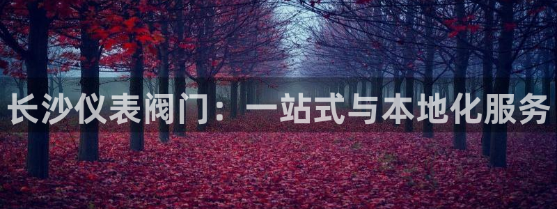 l新宝gg