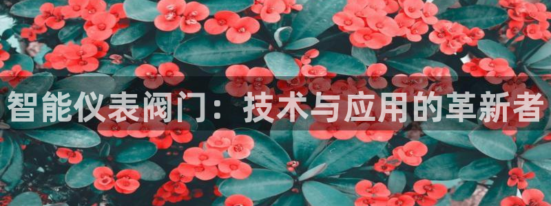 新宝gg如何注册