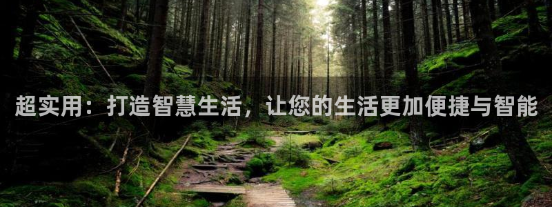 新宝GG挂机