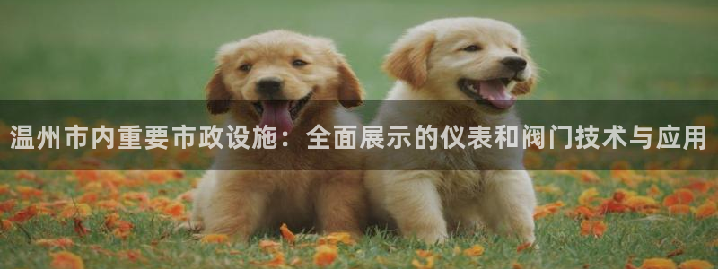 新宝gg主管111