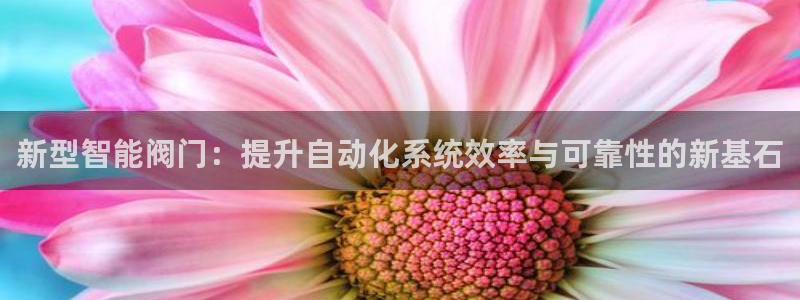 新宝一gg测速