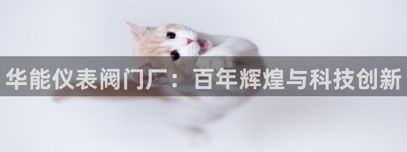 新宝gg真的能赚钱么