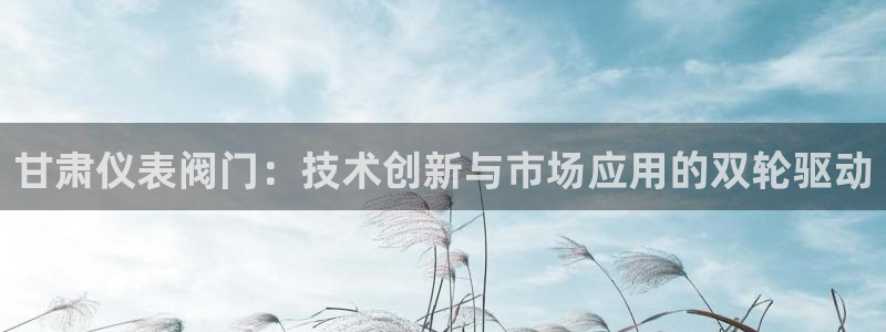 新宝gg测试