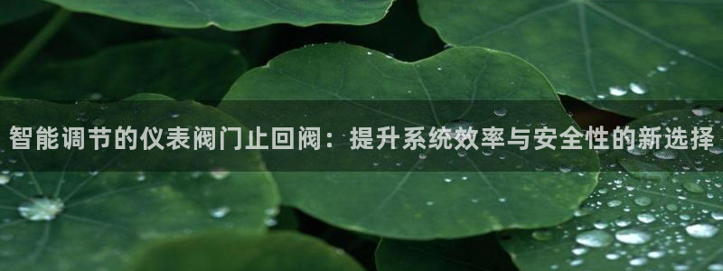 新宝gg介绍