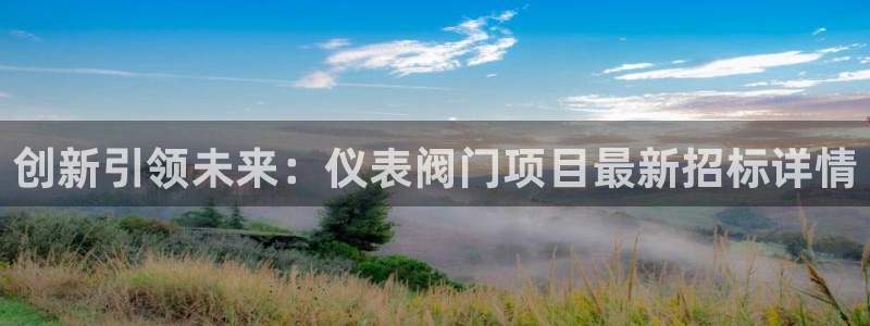新宝GG用哪个网址登录