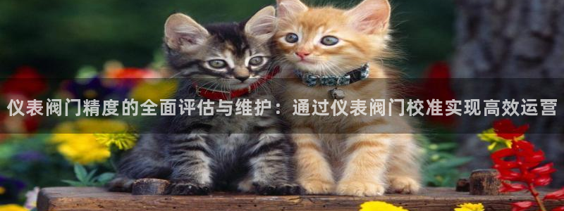 新宝gg真的能赚钱么